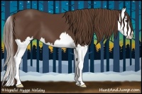 Horse Color:Liver Chestnut Splash 