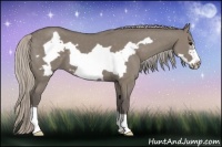 Horse Color:Silver Grullo Frame