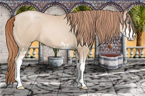 Horse Color:Smoky Black Pearl Sabino 
