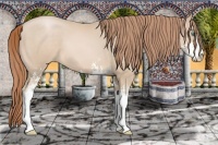 Horse Color:Smoky Black Pearl Sabino