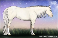 Horse Color:Silver Buckskin Roan Pearl Dun 