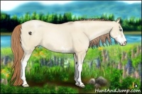 Horse Color:Smoky Grullo Pearl Sabino