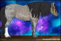 Horse Color:Bay Ice Roan Rabicano 