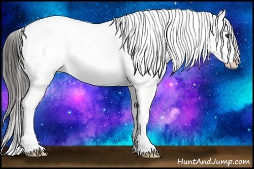 Horse Color:White Spotted Liver Chestnut Appaloosa 