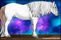 Horse Color:Bay Dun Splash Varnish Rabicano 