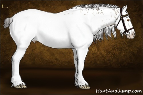 Horse Color:White Spotted Sable Champagne Ice Splash 