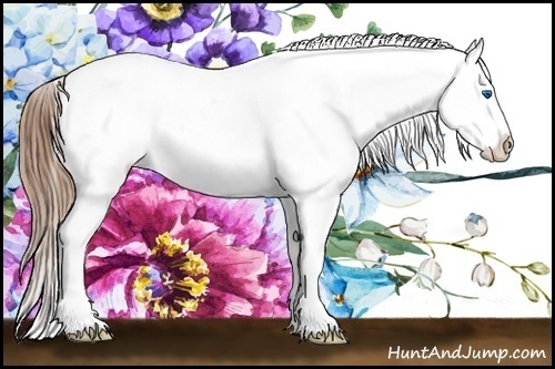 Horse Color:Chestnut Sabino Splash Varnish Rabicano 