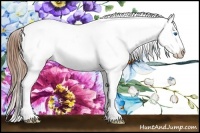Horse Color:Chestnut Sabino Splash Varnish Rabicano 