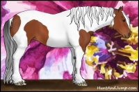 Horse Color:Bay Tobiano 