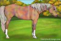 Horse Color:Nacre Silver Bay