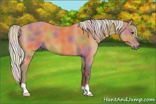 Horse Color:Nacre Silver Bay 