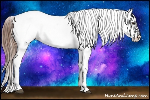 Horse Color:Red Roan Varnish