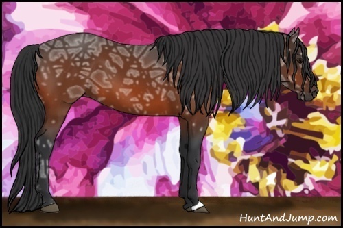 Horse Color:Bay Ice