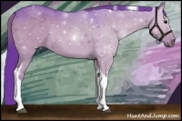 Horse Color:Watercolor Smoky Black Tobiano 