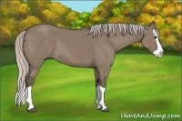 Horse Color:Silver Grullo Splash