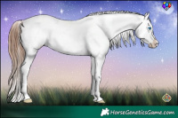 Horse Color:Bay Splash Tobiano Appaloosa