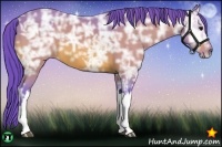 Horse Color:Watercolor Bay Ice 