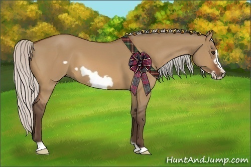 Horse Color:Silver Bay Dun Frame 