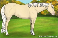 Horse Color:Silver Amber Cream Champagne 