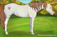 Horse Color:White Spotted Buckskin Ice Roan Pearl Dun Rabicano