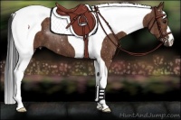 Horse Color:Bay Tobiano Brindle