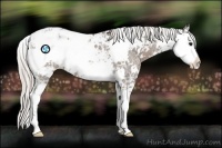 Horse Color:Silver Black Ice Sabino