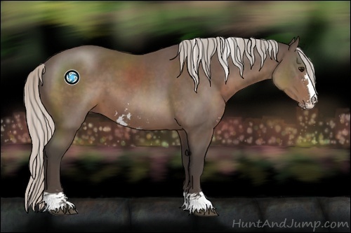 Horse Color:Silver Black Sabino 