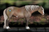 Horse Color:Silver Black Sabino 
