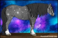 Horse Color:Black Sabino