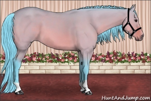 Horse Color:Watercolor Bay Dun