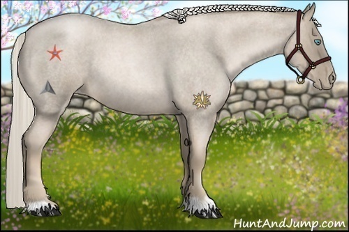 Horse Color:Chocolate Palomino Roan Pearl
