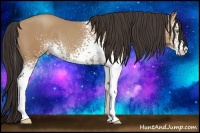 Horse Color:White Spotted Amber Champagne Tobiano