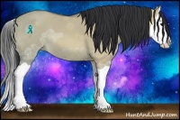 Horse Color:Bay Ice Dun Splash 