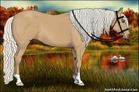 Horse Color:Silver Buckskin 