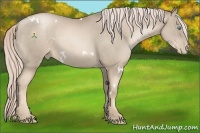 Horse Color:White Spotted Chocolate Palomino Pearl Sabino