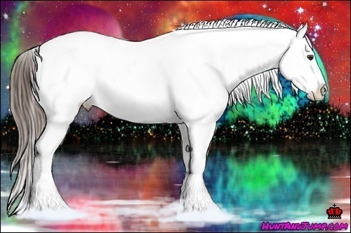 Horse Color:White Spotted Liver Red Roan Splash Appaloosa 