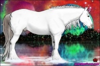 Horse Color:White Spotted Liver Red Roan Splash Appaloosa