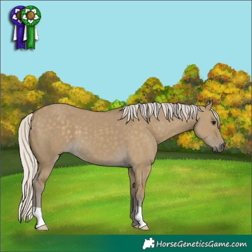 Horse Color:Silver Smoky Grullo 