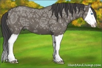 Horse Color:Smoky Grullo Ice Splash 
