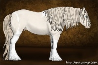 Horse Color:Perlino Roan Tobiano