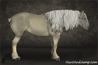 Horse Color:Chocolate Palomino 