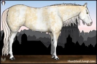Horse Color:White Spotted Silver Sable Champagne Dun 