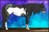 Horse Color:Black Frame 
