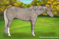 Horse Color:Silver Black