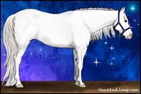 Horse Color:Silver Bay Appaloosa