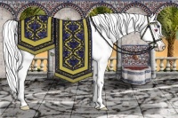 Horse Color:Liver Red Dun Chinchilla Roan Appaloosa Rabicano