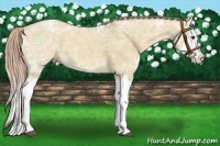 Horse Color:Palomino Ice Roan Dun Splash