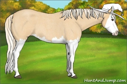 Horse Color:Palomino Roan Splash 