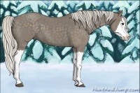 Horse Color:Silver Smoky Blue Roan Splash 