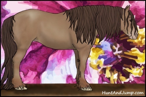 Horse Color:Classic Champagne 